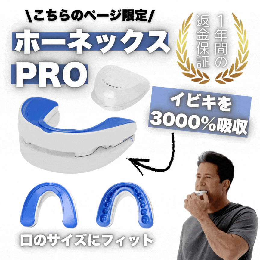 ホーネックス PRO